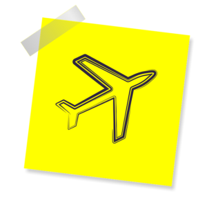 flight