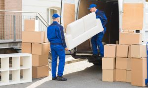 movers